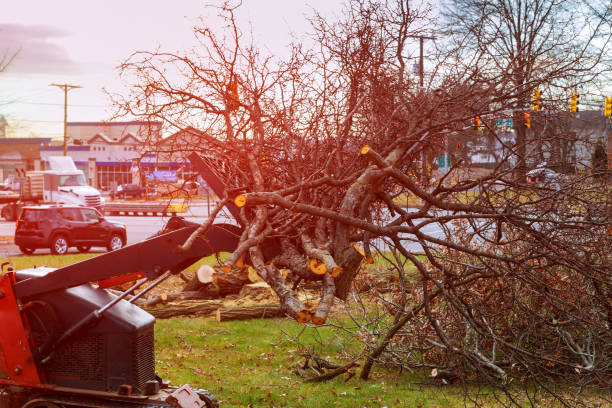 Best Leaf Removal  in Poughkeepsie, NY